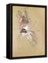 Profile of a Woman, 1896 (Oil on Card)-Henri de Toulouse-Lautrec-Framed Stretched Canvas