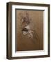 Profile of a Woman, Madame Lucy-Henri de Toulouse-Lautrec-Framed Giclee Print