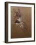 Profile of a Woman, Madame Lucy-Henri de Toulouse-Lautrec-Framed Giclee Print