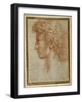 Profile of a Young Man-Parmigianino-Framed Giclee Print