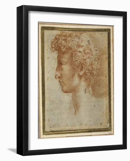 Profile of a Young Man-Parmigianino-Framed Giclee Print