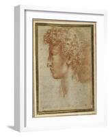 Profile of a Young Man-Parmigianino-Framed Giclee Print