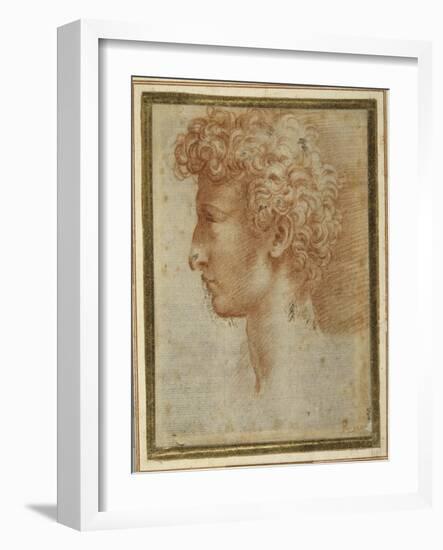 Profile of a Young Man-Parmigianino-Framed Giclee Print