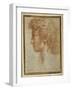 Profile of a Young Man-Parmigianino-Framed Giclee Print