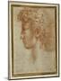 Profile of a Young Man-Parmigianino-Mounted Giclee Print