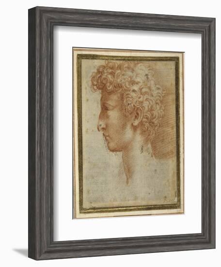 Profile of a Young Man-Parmigianino-Framed Giclee Print