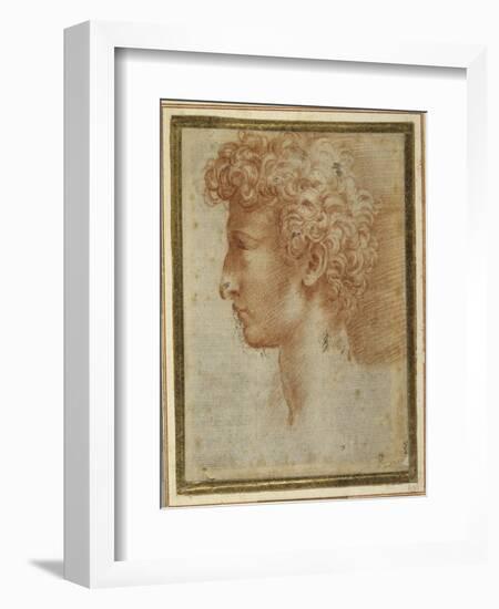 Profile of a Young Man-Parmigianino-Framed Giclee Print