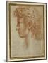 Profile of a Young Man-Parmigianino-Mounted Giclee Print