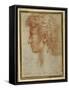 Profile of a Young Man-Parmigianino-Framed Stretched Canvas