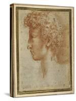 Profile of a Young Man-Parmigianino-Stretched Canvas