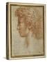 Profile of a Young Man-Parmigianino-Stretched Canvas