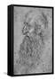 'Profile of an Old, Bearded Man to the Left', c1480 (1945)-Leonardo Da Vinci-Framed Stretched Canvas