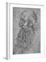 'Profile of an Old, Bearded Man to the Left', c1480 (1945)-Leonardo Da Vinci-Framed Giclee Print