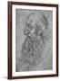 'Profile of an Old, Bearded Man to the Left', c1480 (1945)-Leonardo Da Vinci-Framed Giclee Print