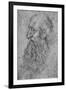 'Profile of an Old, Bearded Man to the Left', c1480 (1945)-Leonardo Da Vinci-Framed Giclee Print