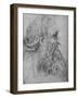 'Profile of an Old, Bearded Man to the Right', c1480 (1945)-Leonardo Da Vinci-Framed Giclee Print