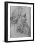 'Profile of an Old, Bearded Man to the Right', c1480 (1945)-Leonardo Da Vinci-Framed Giclee Print