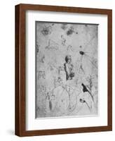 'Profile of an Old Man, Plants, Geometrical Figures, Etc.', c1480 (1945)-Leonardo Da Vinci-Framed Giclee Print