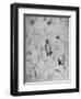 'Profile of an Old Man, Plants, Geometrical Figures, Etc.', c1480 (1945)-Leonardo Da Vinci-Framed Giclee Print