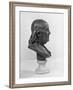 Profile of Benjamin Franklin Statue-null-Framed Photographic Print