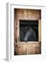 Profile of Black Horse Looking out Stable Window-elenathewise-Framed Photographic Print