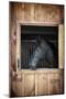 Profile of Black Horse Looking out Stable Window-elenathewise-Mounted Photographic Print