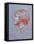 Profile of Edward Gorst Aged 10, 2008-James Gillick-Framed Stretched Canvas