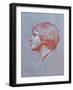 Profile of Edward Gorst Aged 10, 2008-James Gillick-Framed Giclee Print