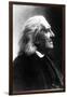 Profile of Franz Liszt, Hungarian Composer and Pianist, 1811-1886-null-Framed Photographic Print