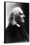 Profile of Franz Liszt, Hungarian Composer and Pianist, 1811-1886-null-Framed Stretched Canvas