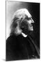 Profile of Franz Liszt, Hungarian Composer and Pianist, 1811-1886-null-Mounted Photographic Print