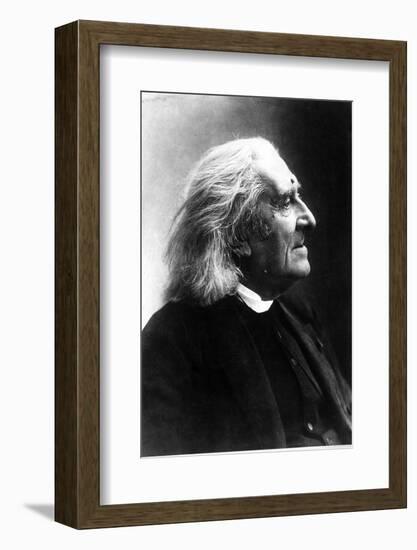 Profile of Franz Liszt, Hungarian Composer and Pianist, 1811-1886-null-Framed Photographic Print