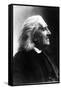 Profile of Franz Liszt, Hungarian Composer and Pianist, 1811-1886-null-Framed Stretched Canvas