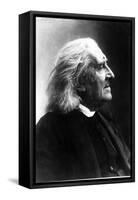 Profile of Franz Liszt, Hungarian Composer and Pianist, 1811-1886-null-Framed Stretched Canvas