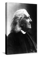 Profile of Franz Liszt, Hungarian Composer and Pianist, 1811-1886-null-Stretched Canvas