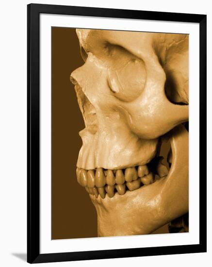 Profile of Human Skull-null-Framed Photographic Print