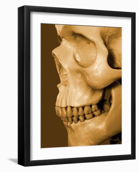 Profile of Human Skull-null-Framed Photographic Print