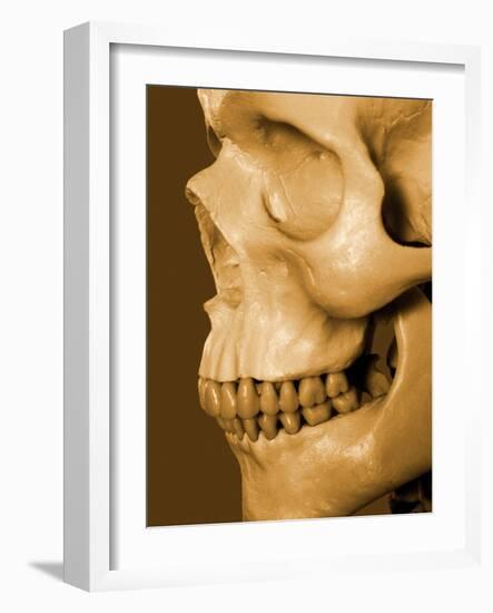 Profile of Human Skull-null-Framed Photographic Print