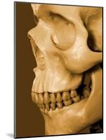 Profile of Human Skull-null-Mounted Photographic Print