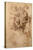 Profile of Woman Wearing a Fantastical Head-Dress with Grotesque Masks-Jacopo Ligozzi-Stretched Canvas