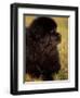 Profile Portrait of Young Black Newfoundland-Adriano Bacchella-Framed Premium Photographic Print