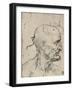 'Profile to Right of a Bald Man, c1480 (1945)-Leonardo Da Vinci-Framed Giclee Print