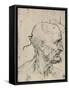 'Profile to Right of a Bald Man, c1480 (1945)-Leonardo Da Vinci-Framed Stretched Canvas