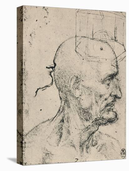 'Profile to Right of a Bald Man, c1480 (1945)-Leonardo Da Vinci-Stretched Canvas