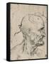 'Profile to Right of a Bald Man, c1480 (1945)-Leonardo Da Vinci-Framed Stretched Canvas