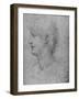 'Profile to the Left of a Curly-Headed Youth', c1480 (1945)-Leonardo Da Vinci-Framed Giclee Print