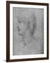 'Profile to the Left of a Curly-Headed Youth', c1480 (1945)-Leonardo Da Vinci-Framed Giclee Print