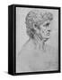 'Profile to the Right of an Elderly Man', c1480 (1945)-Leonardo Da Vinci-Framed Stretched Canvas