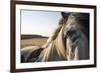 Profile-Andreas Stridsberg-Framed Giclee Print