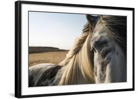 Profile-Andreas Stridsberg-Framed Giclee Print